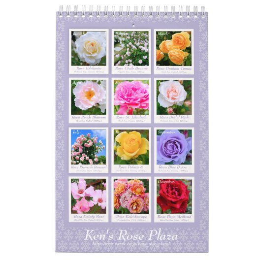 Magnifique Calendrier Rose Cタ Oural プ カ ン ダ レ (Dos)