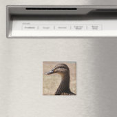 Magnifique Canard Poser un aimant photo (In Situ (Lave-vaisselle))