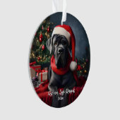 Magnifique Cane Corso avec chapeau de Père Noël (devant)