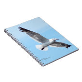 Magnifique Carnet volant de mouettes blanches (Côté Droit)