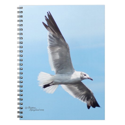 Magnifique Carnet volant de mouettes blanches (Devant)