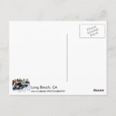 Magnifique Carte Postale Long Beach ! (Dos)