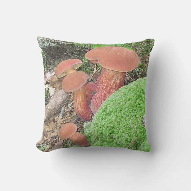 Magnifique Coussin de champignons (Recto)