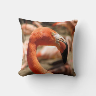 Magnifique Coussin Flamant rose !