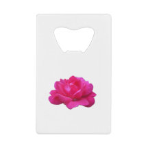 magnifique fleur de rose rose simple rose