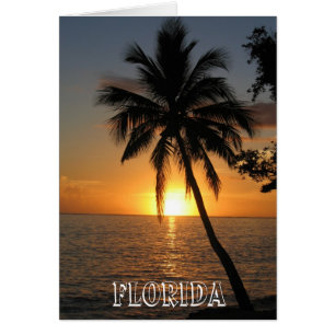 Magnifique Floride