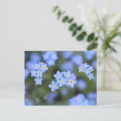 Magnifique Forget-me-not flowers Carte postale (Debout devant)