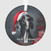 Magnifique Grand Danois avec chapeau de Père Noël (dos)