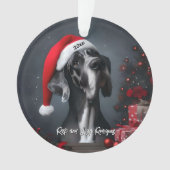 Magnifique Grand Danois avec chapeau de Père Noël (devant)