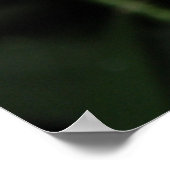 Magnifique impression Moth (Coin)