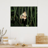 Magnifique impression Moth (Cuisine)
