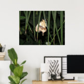 Magnifique impression Moth (Bureau à domicile)