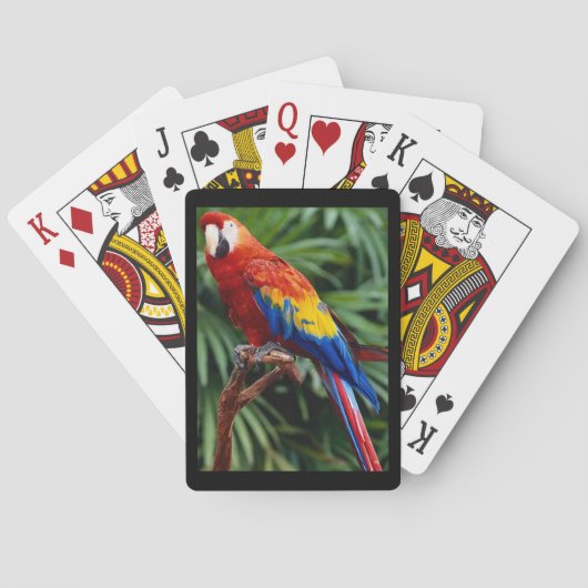 Magnifique Macaw Deck de cartes à jouer (dos)