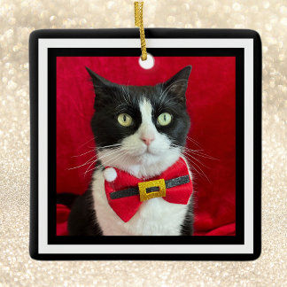 Magnifique Ornement de Noël en forme de Chat Smoki