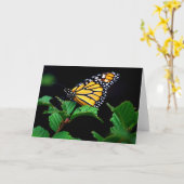 Magnifique papillon Monarque dans la carte de note (Fleur jaune)