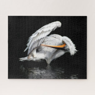Magnifique Pélican, Jigsaw Puzzle