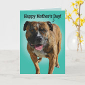 Magnifique Pit Bull carte de fête des mères (Fleur jaune)