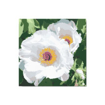 Magnifique pivoine blanche sur toile