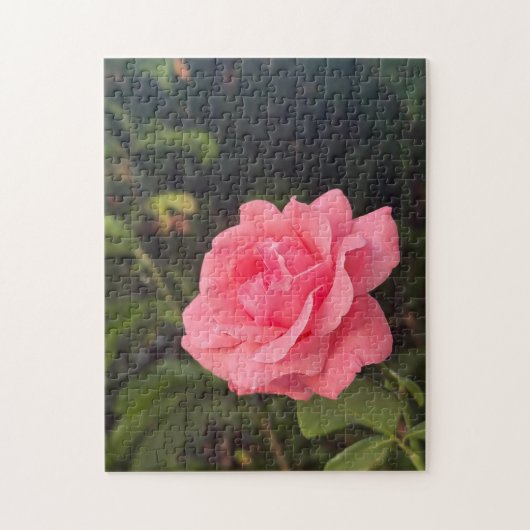 magnifique puzzle de rose (Vertical)