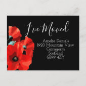 Magnifique Red Poppy J'ai Déplacé la carte (Devant)