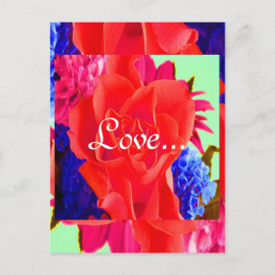 Magnifique Red Rose Valentine II Carte postale