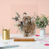 Magnifique Setter avec Faisans , Art (Mariage)