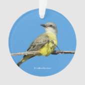 Magnifique Tropical Kingbird sur Blackberry Branch (devant)