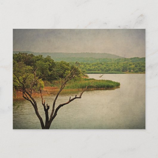 Magnifique vue sur la carte postale de Cedar Hill (Devant)