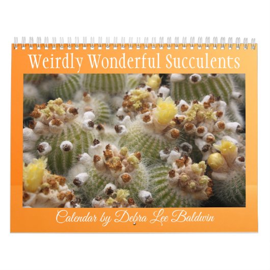 Magnifiquement Merveilleux Calendrier Succulents (Protection)