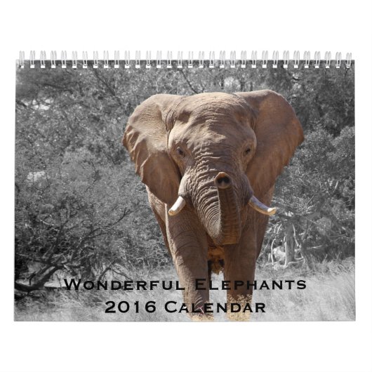 Magnifiques Eléphants Calendrier 2016 (Protection)