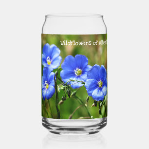 Magnifiques fleurs sauvages bleues sur fond d'herb