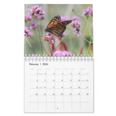 Magnifiques Monarques 2025 Calendrier (Feb 2026)