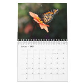 Magnifiques Monarques Calendrier 2025 (Jan 2027)