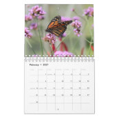 Magnifiques Monarques Calendrier 2025 (Feb 2027)
