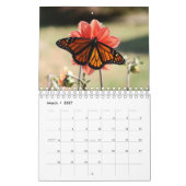 Magnifiques Monarques Calendrier 2025 (Mar 2027)