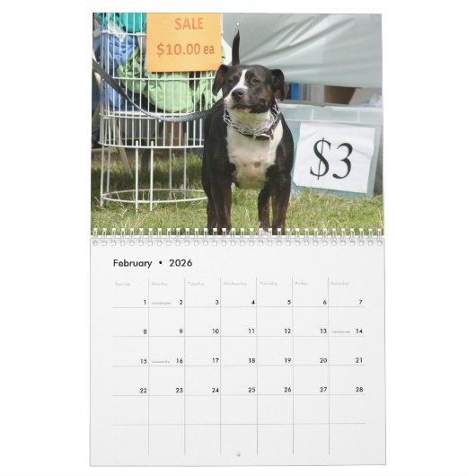 Magnifiques Pitbulls 2020 Calendrier des Chiens (Feb 2026)