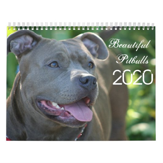 Magnifiques Pitbulls 2020 Calendrier des Chiens (Protection)