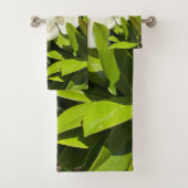 Magnolia  (En situation)