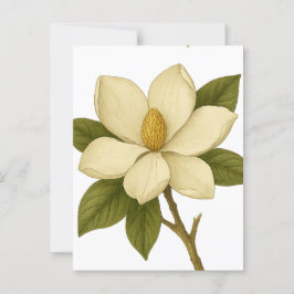 Magnolia — Adel Briefkaart