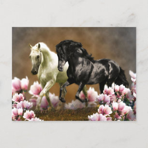 Magnolia Alley - Carte postale