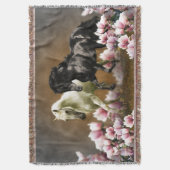 Magnolia Alley - Couverture / Décor (devant Vertical)