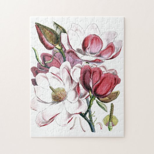 Magnolia Asian Flower  Old Illustration Legpuzzel (Verticaal)