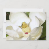 Magnolia Blanc Invitation - Invitations d'Art Flor (Devant)