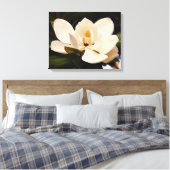 Magnolia blanche en floraison toile étirée (Insitu(Chambre))