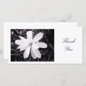 Magnolia blanche - Merci (Devant / Derrière)