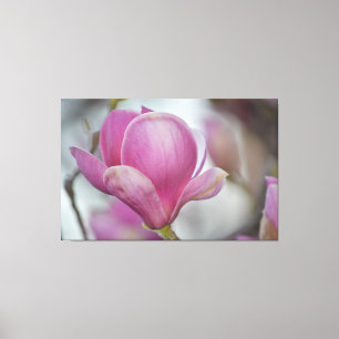 Magnolia Bloem Boom Canvas Afdruk