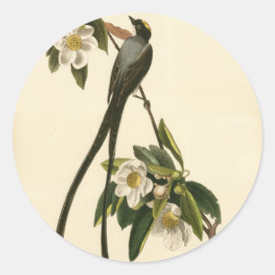  Magnolia Bloemen Vogelvliegenvanger Custom Ronde Sticker