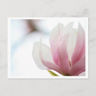 Magnolia Bloom Briefkaart