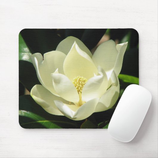 Magnolia Bloom Muismat (Met muis)