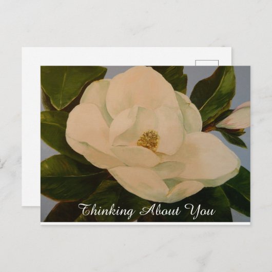 Magnolia Bloom Penser À Vous Carte Postale (Devant / Derrière)